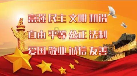 救援狗与猫